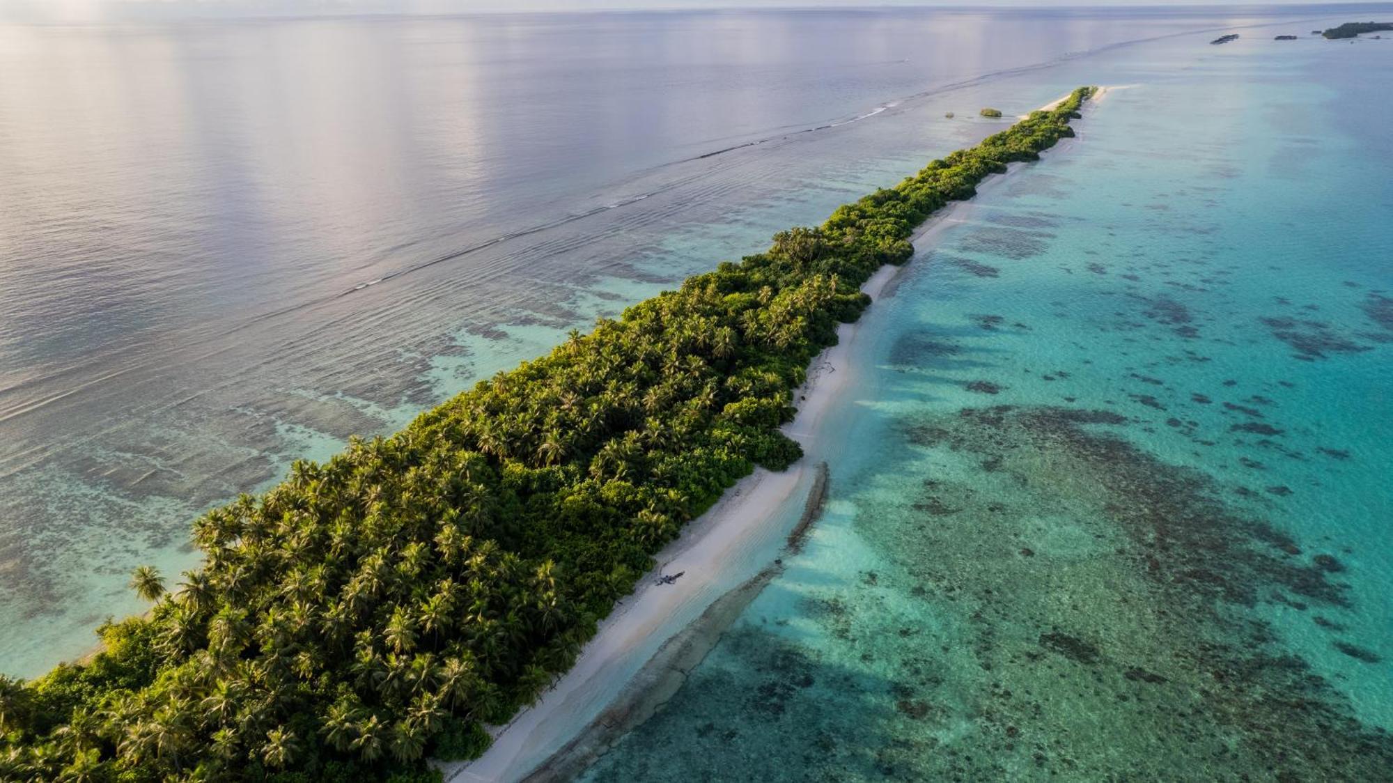 Whaleshark Beach Dhigurah  Ngoại thất bức ảnh